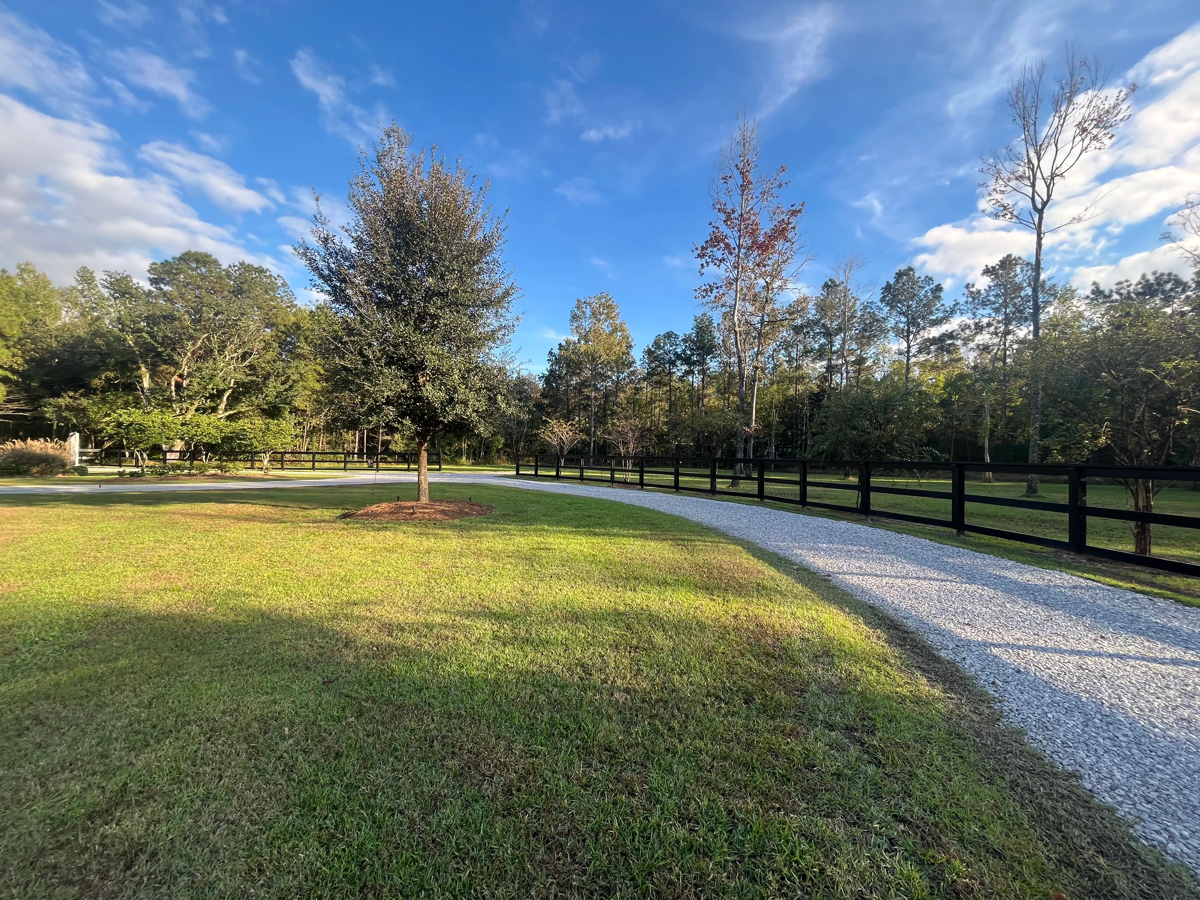 Curved gravel driveway with manicured lawn and black rail fencing on residential property