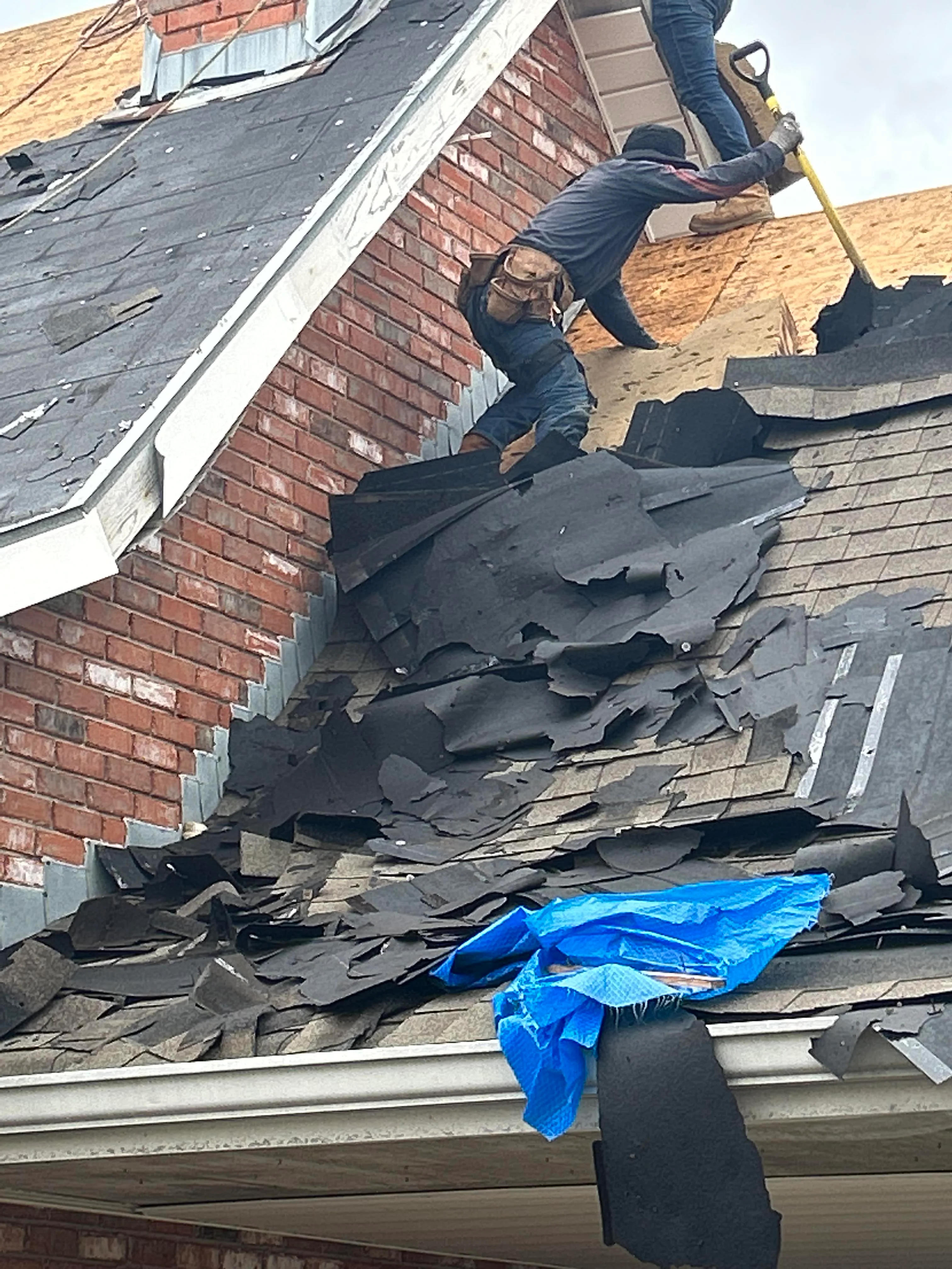 Roofer removing old shingles from brick home during tear-off phase
