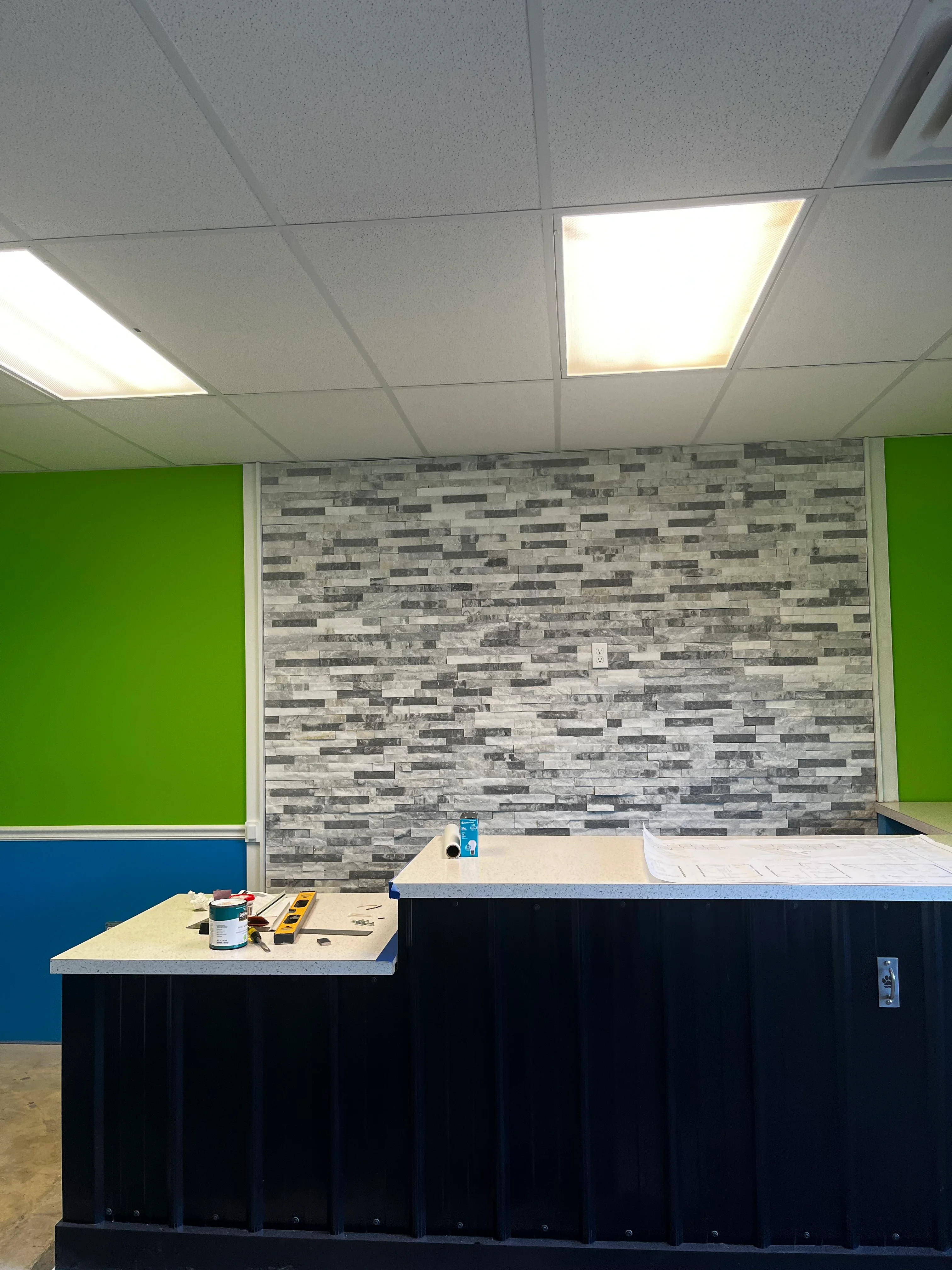 Commercial interior with stacked stone accent wall, green and blue painted walls, and LED ceiling panels